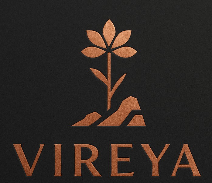 Logo Upload